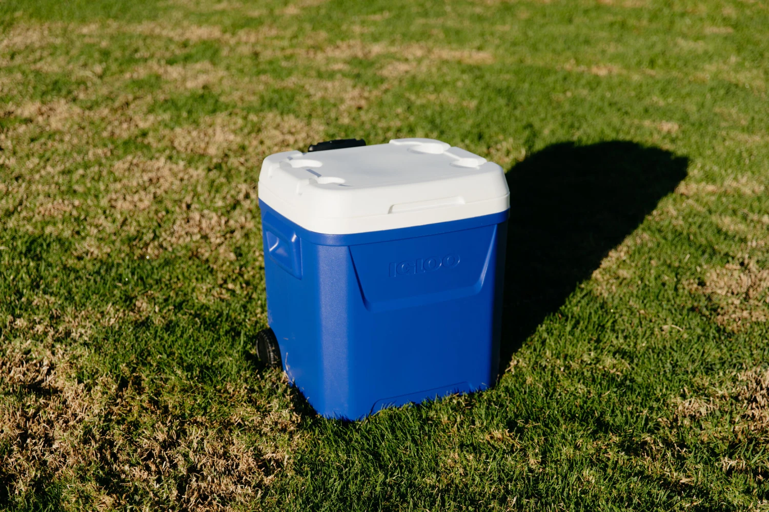 IGLOO Laguna 57L Wheeled Cool Box 14 IGLOO Laguna 57L Wheeled Cool Box - Image 12