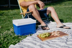 IGLOO Laguna 9 Cool Box Red 21 IGLOO Laguna 9 Cool Box Red -Camping Equipment k1f3a131b236b6d90b2f3f9757c82df88