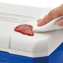 Coleman Performance 5QT Personal Cooler -Camping Equipment k46f35c6c2c6dd2c6e9c46849a7f097f7