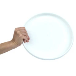 Plastic Ultimate Disc - Surf Illustration 12 Plastic Ultimate Disc - Surf Illustration -Camping Equipment k6abadd68bd21e02f4eeb8232e0eaab0c