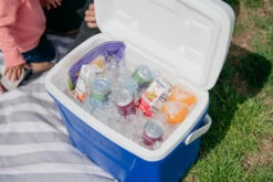 IGLOO Laguna 28QT Cool Box Red -Camping Equipment kb309529a331bee3c9613a50999a7df51