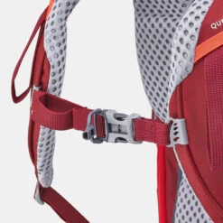 Quechua Children's Hiking/Trekking 40+10L Backpack MH500 -Camping Equipment kcea862c59559a34a2e6f43ad6e6f5309