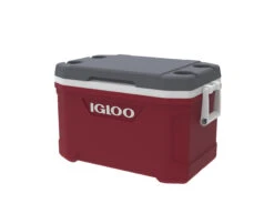 IGLOO Latitude 52QT Cool Box Red 15 IGLOO Latitude 52QT Cool Box Red -Camping Equipment kd151df04d57c9fc7ca9aef084985ced5